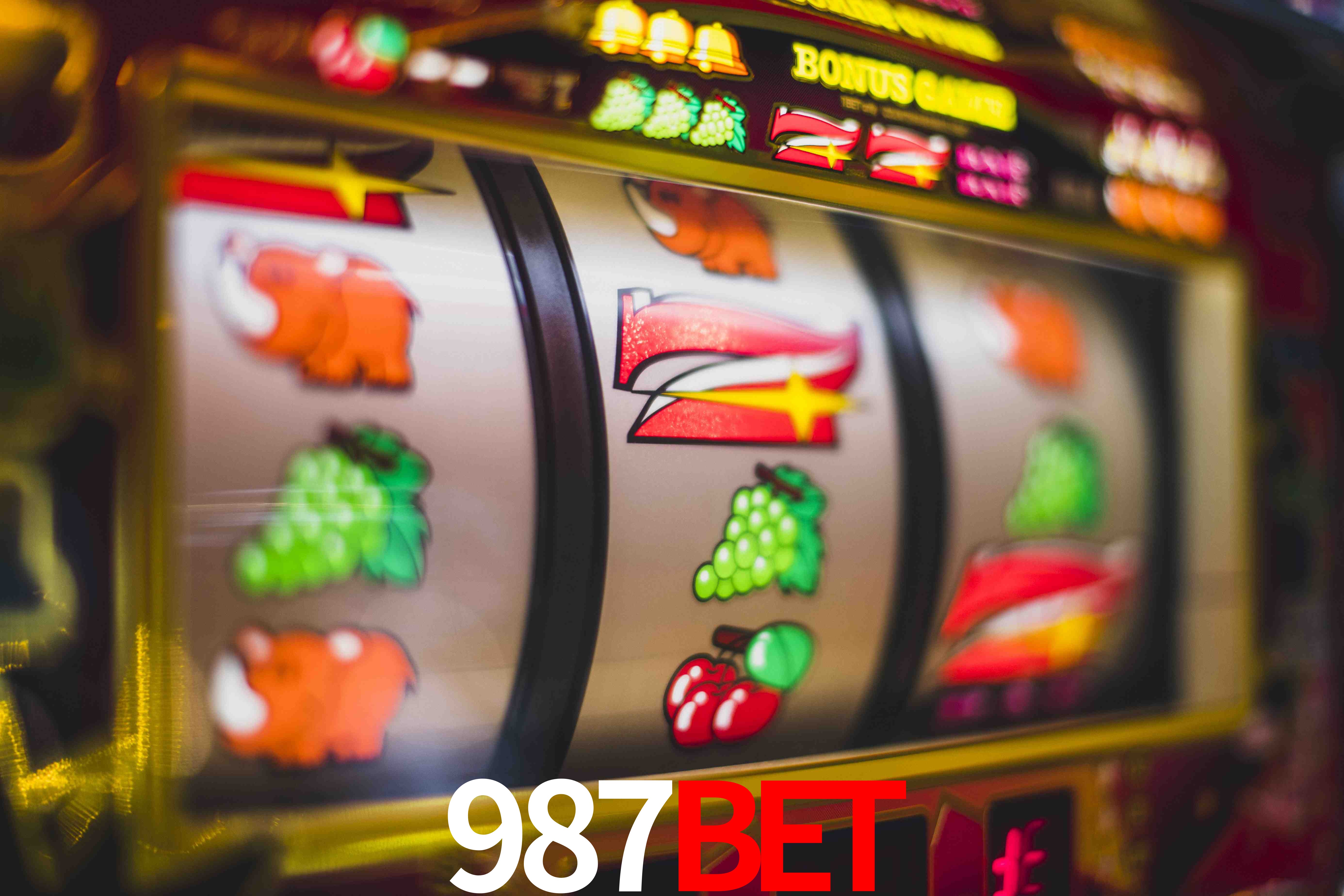 Experiência VIP 987bet